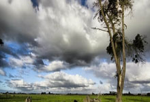 下赛季东部冠军赔率：骑士尼克斯分列前2，绿军魔术并列第3