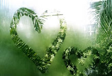 米德尔顿决定执行下赛季3330万美元的球员选项