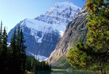 热火凭借团队合作取得连胜