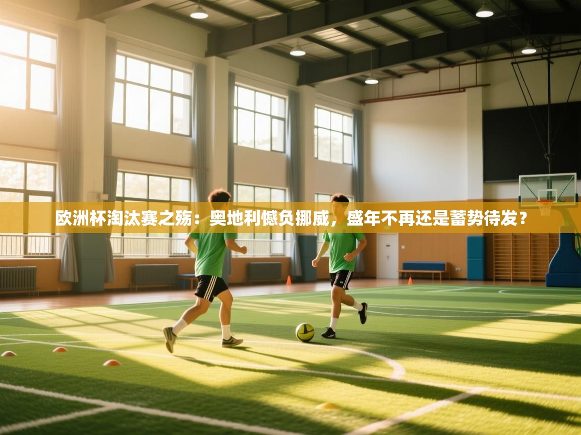 欧洲杯淘汰赛之殇:奥地利憾负挪威,盛年不再还是蓄势待发? 第2张