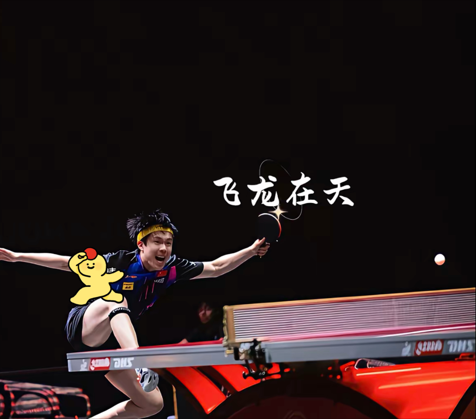 实力抢眼，优质运动员收获掌声！的简单介绍