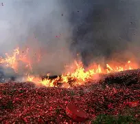 开云体育登录入口-战火重燃，西部半决赛将掀起新一轮热潮